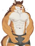 abs anthro biceps blep blush bottomwear bulge clothing countershading male muscular muscular_anthro muscular_male navel nipples pecs shorts solo tongue tongue_out hoang_nguyen lifewonders live_a_hero barrel_(live_a_hero) canid canine canis mammal wolf