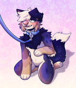 ambiguous_gender anthro bdsm blush collar kneeling leash null petplay puppyplay roleplay solo tail tail_motion tailwag thumbless shlimaz astral_kepler australian_shepherd border_collie canid canine canis collie domestic_dog herding_dog mammal pastoral_dog sheepdog hi_res
