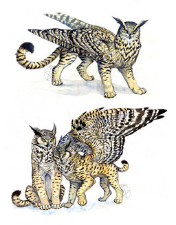 2011 amber_eyes anisis avian beak bird black_beak duo feathered_wings feathers feline feral hybrid mammal owl simple_background white_background wings
Rating: Safe
Score: 0
User: Millcore
Date: June 20, 2018 2011 amber_eyes anisis avian beak bird black_beak duo feathered_wings feathers feline feral hybrid mammal owl simple_background white_background wings
Rating: Safe
Score: 0
User: Millcore
Date: June 20, 2018