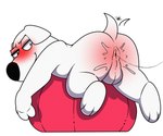 anthro anus balls bent_over blush butt genitals looking_back lubed_anus male offscreen_character smile solo tail tail_motion tailwag theinkrodent family_guy brian_griffin canid canine canis domestic_dog mammal hi_res