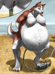 2011 air_inflation anthro anthrofied areola balto_(series) beach belly belly_inflation big_belly black_nose breasts canid canine canis claws clitoris close-up domestic_dog female fur genitals hose_inflation huge_belly husky hyper hyper_belly hyper_inflation inflation inner_ear_fluff jenna_(balto) looking_down mammal multicolored_body multicolored_fur navel nipples nordic_sled_dog outie_navel paws penetration pink_areola pink_nipples pink_pussy pumping pussy rana_(artist) red_body red_fur seaside signature solo spitz standing tuft two_tone_body two_tone_fur universal_studios vaginal vaginal_penetration white_body white_claws white_fur zorro_re
