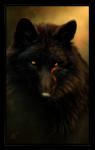 ambiguous_gender black_body black_border black_fur black_nose border feral fur markings notched_ear orange_eyes red_markings solo yellow_eyes novawuff canid canine canis mammal wolf 2013 hi_res orange_theme