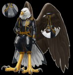 anthro athletic avian_feet award beak black_claws black_clothing bottomwear brown_body brown_feathers claws clothing cutaway feathered_wings feathers feet gloves gold_(metal) gold_belt gold_trim hand_on_hip handwear leather leather_clothing leather_gloves leather_handwear male medal pants scales shirt solo tail tail_feathers talon_hands talons toes topwear white_body white_feathers wings yellow_body yellow_eyes yellow_scales dsw7 alcander accipitrid accipitriform avian bald_eagle bird eagle sea_eagle 2023 absurd_res alpha_channel hi_res