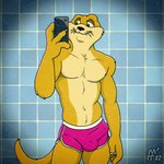 4_fingers anthro bath brown_body brown_eyes brown_fur bulge cellphone clothed clothing detailed_bulge electronics fingers front_view fur genital_outline half-closed_eyes male narrowed_eyes navel penis_outline phone selfie shirtless shower shower_room sideways-pointing_bulge smile solo standing swimwear taking_picture tan_body tan_fur tile tile_wall topless topless_anthro topless_male wall_(structure) fabfelipe animalympics dean_wilson mammal mustelid otter 1:1 2022 hi_res portrait signature three-quarter_portrait