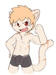 anthro biceps big_bulge bulge clothed clothing flexing hair kemono male muscular muscular_young open_mouth open_smile red_eyes simple_background smile solo tail topless topless_anthro topless_male underwear white_background young young_anthro oob domestic_cat felid feline felis mammal 2015 digital_drawing_(artwork) digital_media_(artwork) portrait three-quarter_portrait