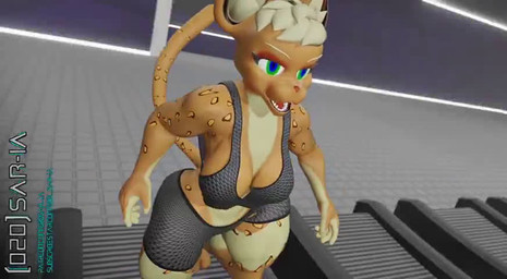 anthro big_breasts blonde_hair breasts close-up clothing crop_top exercise female gym hair hera_(020_saria) muscular muscular_anthro running shirt solo tail topwear 020_sar-ia cheetah felid feline mammal 3d_(artwork) 3d_animation animated blender_(artwork) digital_media_(artwork) no_sound short_playtime video