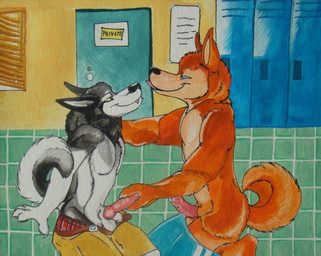 anthro blue_eyes bodily_fluids boxers_(clothing) butt clothing cum duo erection foreplay genital_fluids genitals inside locker locker_room male male/male nude penis sex tail underwear yellow_eyes unknown_artist canid canine canis mammal wolf