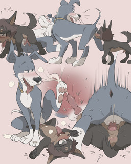 animal_genitalia animal_penis animal_vulva anus aroused balls blush bodily_fluids breath canine_genitalia canine_penis canine_vulva cum cum_inside cumshot duo ejaculation erection eyewear female feral feral_on_feral feral_penetrated feral_penetrating feral_penetrating_feral genital_fluids genitals glasses half-erect internal knot knotting leaking_cum lipsticking male male/female multi_nipple nipples panting pawpads penetration penis penis_tip quadruped raised_tail satisfied_look sex sheath sniffing spread_legs spreading surprised tail teats tongue tongue_out vaginal vaginal_penetration vulva vulva_sniffing young young_feral kinnni-chan dob_(kinnni-chan) turbine_(character) canid canine canis dobermann domestic_dog mammal pinscher 4:5 hi_res