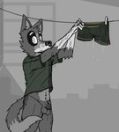 animal_genitalia anthro balls bottomless caught_in_the_act caught_off_guard clothed clothing genitals male raised_clothing raised_shirt raised_topwear sheath shirt shy slim solo topwear ricthecusco canid canine canis domestic_dog mammal