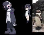 anthro black_body black_clothing clothing electronics headphones jacket male purple_eyes reference_image solo text topwear pegacousin kemono_friends sega sonic_the_hedgehog_(series) grape-kun hululu avian bird penguin 2022 alpha_channel crossover japanese_text meme redraw