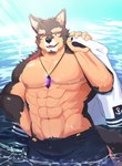 abs anthro countershading crystal jewelry male muscular muscular_anthro muscular_male navel necklace nipples one_eye_closed pecs pubes sailor shirtless solo water wink v_aoii lifewonders live_a_hero pubraseer canid canine canis domestic_dog german_shepherd herding_dog mammal pastoral_dog absurd_res hi_res