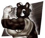 anthro arm_wraps bandage biceps big_breasts big_muscles breasts clothed clothing crop_top eyeshadow female flexing hair hair_over_eye makeup muscular muscular_female shirt short_hair smile solo topwear wraps itzjaylock bear giant_panda mammal hi_res