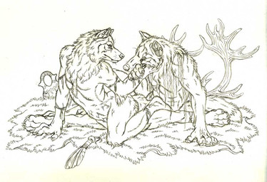 anthro duo male nude simple_background tail white_background watergazer_wolf mythology canid canine canis mammal mythological_canine mythological_creature werecanid werecanine werecreature werewolf wolf source_request