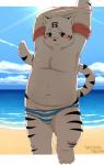 anthro beach biped black_body black_fur blush bulge clothing cloud day detailed_background fur genitals humanoid_genitalia humanoid_penis looking_at_viewer male outside overweight overweight_anthro overweight_male panties penis penis_base red_eyes sand seaside sky solo standing sun underwear undressing water white_body white_fur young young_anthro satanbear felid mammal pantherine tiger absurd_res hi_res