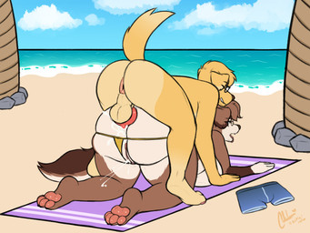 all_fours anal anal_orgasm anal_penetration anthro anus balls beach big_butt bikini bikini_bottom bodily_fluids bottomwear breath brown_body brown_fur butt clothing cum cum_in_ass cum_inside discarded_clothing duo ejaculation eyewear female female_penetrated fur genital_fluids genitals glasses hands-free huge_butt huge_thighs knot knotted_penis looking_pleasured male male/female male_penetrating male_penetrating_female orgasm palm_tree panting pawpads penetration penile penile_penetration penis penis_in_ass perineum plant rock sand sea sex shorts swimwear thick_thighs towel tree two-piece_swimsuit vaginal_fluids vaginal_squirting vulva water yellow_body yellow_fur alexnik canid canine canis domestic_dog mammal 2026 digital_media_(artwork) hi_res watermark
