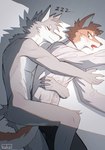 anthro biped brown_body brown_fur duo fur grey_body grey_fur hug hugging_another hugging_from_behind lying male nude_anthro nude_male on_side slim_anthro slim_male white_body white_fur rukdrg canid canine fox mammal 2024 hi_res