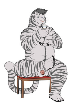 anthro balls beard container crossed_legs cup drinking facial_hair flaccid fur furniture genitals humanoid_genitalia humanoid_penis male overweight overweight_anthro overweight_male penis sitting solo stool striped_body striped_fur stripes kronexfire baihu felid mammal pantherine tiger 2016 hi_res