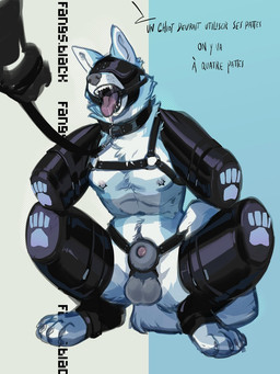 animal_genitalia anthro balls bdsm bitchsuit blindfold blue_background bodily_fluids bondage_gear bound collar crouching dripping drooling duo frogtied gag gagged genitals harness leash leashed_collar legs_tied male male_anthro muscular muscular_anthro muscular_male nipple_piercing nipples offscreen_character open_mouth petplay piddlefours piercing puppyplay restrained restrained_arms restrained_legs ring_gag roleplay saliva saliva_drip saliva_on_tongue saliva_string sheath simple_background submissive submissive_anthro submissive_male tongue tongue_out fangs.black canid canine canis domestic_dog mammal 3:4 hi_res