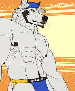 abs anthro armpit_hair beard black_body black_fur black_nipples black_nose blue_clothing blue_hat blue_headwear blue_jockstrap blue_underwear body_hair clothed clothing facial_hair facial_tuft fur hat headgear headwear jockstrap looking_aside looking_at_viewer low-angle_view male multicolored_body multicolored_fur muscular muscular_anthro muscular_male nipples orange_background partially_clothed pattern_background simple_background solo text topless tuft underwear underwear_only whiskers white_body white_fur yellow_background depictionexpress alfonso_(depictionexpress) canid canine canis mammal wolf 5:6 half-length_portrait hi_res portrait spanish_text