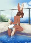 4_toes anthro butt clothed clothing countershade_feet countershading feet fur hair hindpaw looking_back male paws plantigrade presenting soles solo speedo swimming_pool swimwear toes topless water wet shiuk flip_bunny lagomorph leporid mammal rabbit 2016 absurd_res hi_res