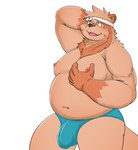 anthro belly brown_body bulge clothing detailed_bulge genital_outline humanoid_hands kemono male moobs navel nipples overweight overweight_male penis_outline simple_background solo underwear white_background bear_2key canid canine mammal raccoon_dog tanuki 2021