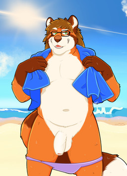 5_fingers anthro balls beach brown_body brown_fur brown_hair clothing cloud eyewear fingers flaccid foreskin fur genitals glasses green_eyes grin hair humanoid_genitalia humanoid_penis male navel orange_body orange_fur outside penis public seaside sky slightly_chubby smile solo speedo sun swimwear towel water white_body white_fur golden0ni max_(redailurus) ailurid mammal red_panda hi_res portrait three-quarter_portrait