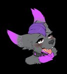 ahegao anthro blush bodily_fluids collar looking_pleasured male solo tears pricklepants baxter_(baxi) canid canine mammal alpha_channel hi_res