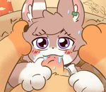 blush bodily_fluids choker duo fellatio fluffy genitals jewelry male male/male necklace oral penile penis saliva saliva_on_penis sex smile sweat vein veiny_penis snowy_(furrito_thicc) fabulous_beasts sibuxiang_the_deer_(fabulous_beasts) tuye_(fabulous_beasts) deer lagomorph leporid mammal rabbit hi_res