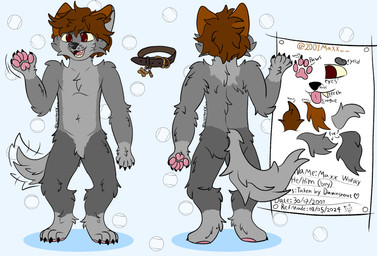 anthro brown_hair collar fur gesture grey_body grey_fur hair male pawpads pink_pawpads pink_tongue red_eyes smile solo standing tail tail_motion tailwag text tongue waving 2001maxx conditional_dnp maxx_(2001maxx) canid canine canis domestic_dog husky mammal nordic_sled_dog spitz absurd_res english_text hi_res model_sheet