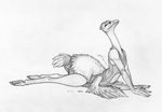 anthro avian_butt avian_feet clothing eyes_closed feathered_wings feathers female leotard long_neck lying on_front simple_background solo stretching tail tail_feathers tight_clothing white_background wings ecmajor magnolia_(ecmajor) avian avian_taur bird bird_taur ostrich ratite taur 2016 greyscale monochrome sketch traditional_media_(artwork)