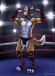 abs anthro armor armwear athletic athletic_anthro biceps bikini bikini_bottom black_hair black_outline bottomwear bracers claws clothing digitigrade ear_piercing ear_ring elbow_gloves fighting_ring flashbulbs flexing furgonomics gloves hair handwear laces looking_at_viewer male outline pawpads pecs piercing ring_piercing smile solo spots spotted_pawpads swimwear toe_claws two-piece_swimsuit victory_pose yellow_eyes gaikotsu canid canine mammal maned_wolf 2025 hi_res signature