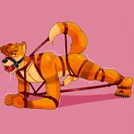 ankles_tied anthro arms_tied athletic athletic_male ball_gag bdsm black_nose blush bodily_fluids bondage bound brown_ear_tips brown_eyes brown_hair brown_stripes dipstick_ears dipstick_tail drooling ear_markings erection exercise feet feet_tied forced forced_exposure forced_gag fur gag gagged gagged_drooling hair harness harness_ball_gag harness_gag knee_tied knock-kneed legs_tied legs_together male markings multicolored_body multicolored_ears multicolored_fur muzzle_(object) nude nude_male orange_body orange_fur orange_tail pink_background plank_(exercise) raised_tail restraints rope rope_bondage saliva shaking simple_background solo stripes submissive submissive_male tail tail_markings tail_tied tan_body tan_fur tan_tail_tip toe_restraints toes toes_tied trembling two_tone_body two_tone_fur dante24 aless-sotan canid canine fox mammal 1:1 absurd_res digital_drawing_(artwork) digital_media_(artwork) hi_res shaded