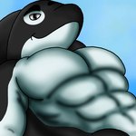 1:1 anthro belly black_body black_eyes black_fur cetacean dolphin fur hi_res male mammal marine muscular muscular_male oceanic_dolphin orca rjquaty solo toothed_whale white_belly