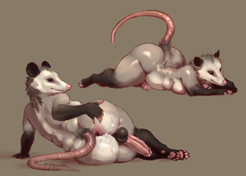 anthro anus backsack balls big_balls big_breasts big_butt big_penis black_balls blush bodily_fluids breasts butt cum cum_in_ass cum_inside erection fur gaping gaping_anus genital_fluids genitals glistening glistening_genitalia glistening_penis gynomorph gynomorph_anthro humanoid_genitalia humanoid_penis intersex intersex_anthro nipples nude penis presenting presenting_anus simple_background slightly_chubby solo spread_anus spread_butt spreading tail thick_thighs white_body wide_hips alytarch lucille_(alytarch) american_opossum mammal marsupial virginia_opossum absurd_res hi_res
