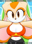 2024 absurd_res aged_up anthro big_breasts bottomwear breasts camera_hud cleavage clothed clothing cream_the_rabbit female hi_res lagomorph leporid lying mammal midriff on_back rabbit sega selfie shirt shorts slickehedge solo sonic_the_hedgehog_(series) swimming_pool tank_top topwear