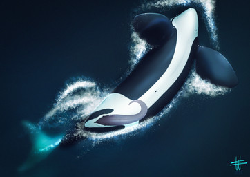 animal_genitalia animal_penis black_body cetacean_genitalia cetacean_penis erection feral flukes genital_slit genitals logo male male_feral multicolored_body navel partially_submerged pectoral_fin penis sea solo splash tapering_penis two_tone_body upside_down water white_body year wesphin bekuta_(wesphin) aquatic cetacean dolphin mammal oceanic_dolphin orca toothed_whale 2023 artist_logo dated hi_res