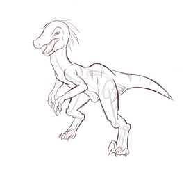 3_fingers 3_toes ambiguous_feral ambiguous_gender back_markings biped claws digitigrade fangs featureless_crotch feet feral finger_claws fingers front_view markings open_mouth sharp_teeth sickle_claw simple_background solo tail tail_markings teeth toe_claws toes white_background meraence dinosaur dromaeosaurid prehistoric_species reptile saurischian scalie theropod velociraptor 2014 digital_drawing_(artwork) digital_media_(artwork) full-length_portrait hi_res portrait sketch