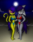 anthro beach clothing detailed_background duo female full_moon moon night outside seaside sky star starry_sky swimwear tail water knownvortex sega sonic_the_hedgehog_(series) eulipotyphlan felid hedgehog mammal 2006