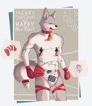 ageplay anal anthro bell bell_collar blush candy_cane_in_urethra card chastity_cage chastity_device christmas_lights clean_diaper clothed clothing collar diaper diaper_only eyes_closed forced forced_anal forced_chastity forced_edging forced_sounding handwear holidays infantilism male mittens multicolored_body nipple_bell nipples prostate_stimulation ribbons roleplay sex_toy solo topless two_tone_body urethral vibrator wearing_diaper wolftea42 christmas canid canine canis mammal wolf absurd_res hi_res