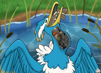 beak blue_body esophagus facial_markings feathered_crest feathered_wings feathers feet feral feral_pred feral_prey green_eyes head_crest head_markings internal larger_pred male male_pred markings mask_(marking) micro neck_bulge oral_vore size_difference vore white_markings wings yellow_markings flippin-rad mythology nintendo pokemon der fan_character thunk_(gyro) arrokuda avian cramorant generation_8_pokemon gryphon mythological_avian mythological_creature pokemon_(species) absurd_res hi_res