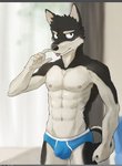 anthro blue_briefs blue_clothing blue_underwear briefs canid canine canis chest_tuft clothed clothing colored_seam_underwear countershading domestic_dog fur male mammal multicolored_body multicolored_fur pngx_(artist) solo topless tuft underwear white_seam_underwear