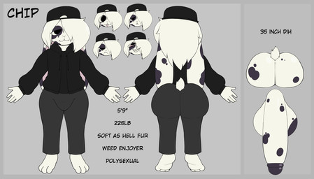 anthro black_spots bottomwear clothing fur hair hat headgear headwear hoodie male pants solo spots text topwear white_body white_fur white_hair toonyjuice chip_(regdablue) lagomorph leporid mammal rabbit english_description english_text hi_res model_sheet
