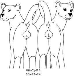 animal_genitalia anus balls duo feral fur genitals looking_at_viewer looking_back looking_back_at_viewer male male/male nude presenting raised_tail sheath simple_background smile tail white_background urbanhermit felid mammal pantherine 1993 black_and_white dated low_res monochrome brother_(lore) brothers_(lore) sibling_(lore)