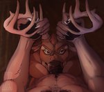 anthro antler_grab antlers body_hair chest_fur confident dog_tags duo ears_down fellatio first_person_view genitals hair happy_trail horn looking_at_viewer male male/male navel oral penile penis pivoted_ears sex whiskers nu_m00n indy_(mxxnkiddo) deer mammal new_world_deer white-tailed_deer 2021 absurd_res hi_res