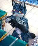 absurd_res anthro blush bodily_fluids canid canine claws clothing countershading diaper felid fox grabbing hi_res hybrid kemono looking_back male mammal nervous package pantherine shopping_basket solo store sweat teeth tiger unrealplace