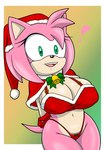 anthro big_breasts bra breasts christmas_clothing christmas_headwear clothed clothing female fur gloves green_eyes hair handwear hat headgear headwear holidays huge_breasts navel nipple_outline open_mouth panties pink_body santa_hat simple_background smile solo standing tail teeth thick_thighs underwear wide_hips sonicguru christmas sega sonic_the_hedgehog_(series) amy_rose eulipotyphlan hedgehog mammal digital_media_(artwork) hi_res