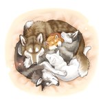 anthro dog_pile eyes_closed feral group sleeping ayaka a-chan fuuga kyappy mashiro shibeta canid canine canis domestic_dog husky hybrid kishu_inu mammal nordic_sled_dog shiba_inu spitz wolfdog 1:1 hi_res