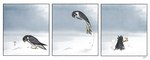 ambiguous_gender beak biped black_body black_feathers border contextual_arrow detailed_background diving feathers feet feral fur grey_body grey_fur impact_effect initials jumping side_view snow solo speech_bubble standing stare striped_feathers stuck_in_ground talons toes white_body white_border white_feathers yellow_beak yellow_feet skia avian bird cricetid falcon falconid mammal peregrine_falcon rodent vole comic pictographics signature