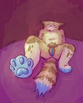 andromorph anthro big_clitoris blue_clitoris blue_genitals blue_pawpads blue_paws blue_vagina blue_vulva blush brown_eyes brown_markings brown_spots brown_stripes butt clitoris embarrassed eyelashes feet flustered foot_fetish foot_focus fur genitals half-closed_eyes humanoid_genitalia humanoid_vulva intersex labia looking_at_viewer lying markings narrowed_eyes nude on_back pawpads perspective pink_background plantigrade pubes shy simple_background solo spots striped_markings striped_tail stripes tail tail_markings tan_body tan_fur toes vagina vulva chemicalcreature canid canine canis domestic_dog mammal 2024 colored digital_drawing_(artwork) digital_media_(artwork) shaded signature watermark trans_(lore) trans_man_(lore)