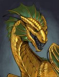 black_horn claws fangs female feral golden_body green_membrane horn membrane_(anatomy) open_mouth scales solo teeth sima_owl european_mythology mythology dragon gold_dragon mythological_creature mythological_scalie scalie western_dragon hi_res portrait